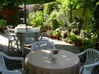照片: Zum Lindengarten